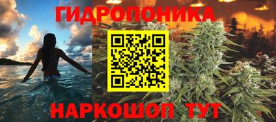 mix Новодвинск