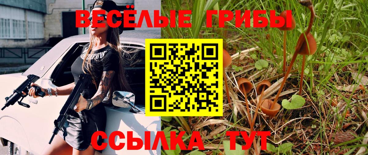 Галлюциногенные грибы GOLDEN TEACHER  Галлюциногенные грибы мицелий  Вход с VPN  Спасск-Дальний 